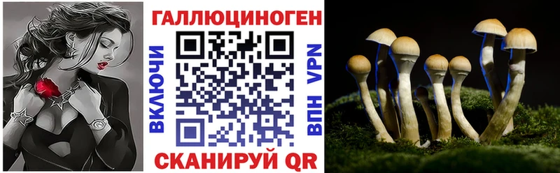 Галлюциногенные грибы мицелий  Топки 